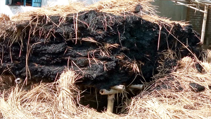 ফুলবাড়ীতে খড়ের গাদায় আগুন,দুই লক্ষ টাকার খড় ভস্মীভূত